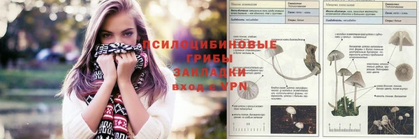 гидропоника Балахна