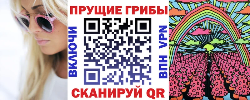 цена   Зерноград  Псилоцибиновые грибы Psilocybine cubensis 